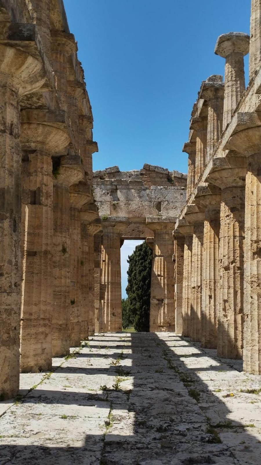 Chiaro Di Luna - Appartamento Luna Crescente Paestum Eksteriør billede